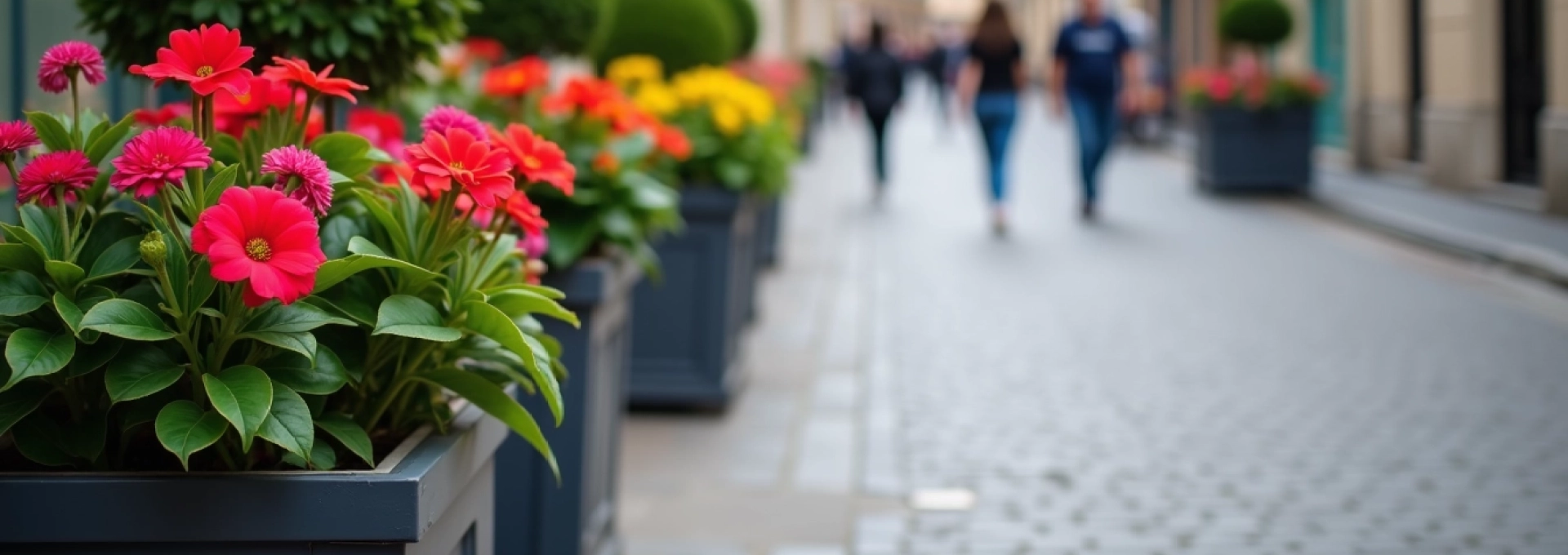 peut-on-legalement-poser-des-pots-de-fleurs-sur-le-trottoir